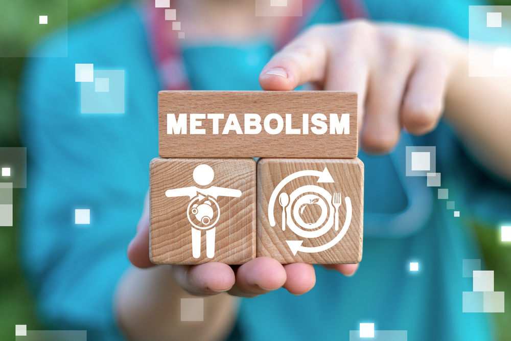 Regulates Metabolism