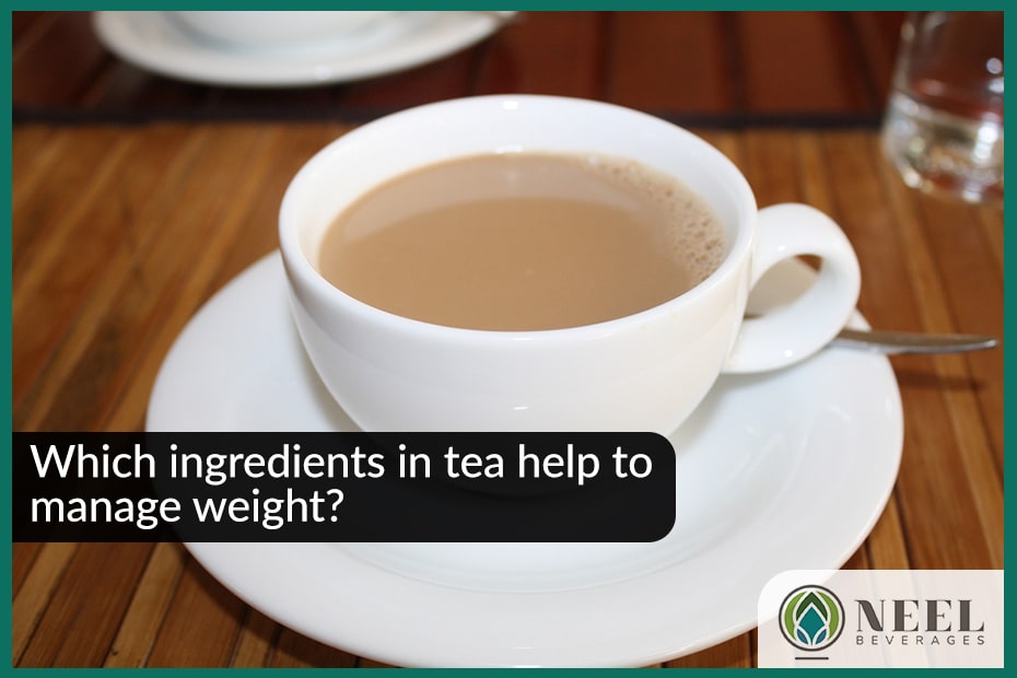Which ingredients in tea help to manage weight