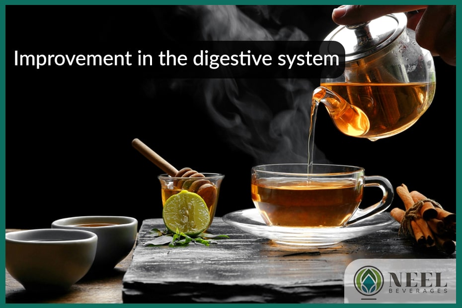 Improvement in the digestive system
