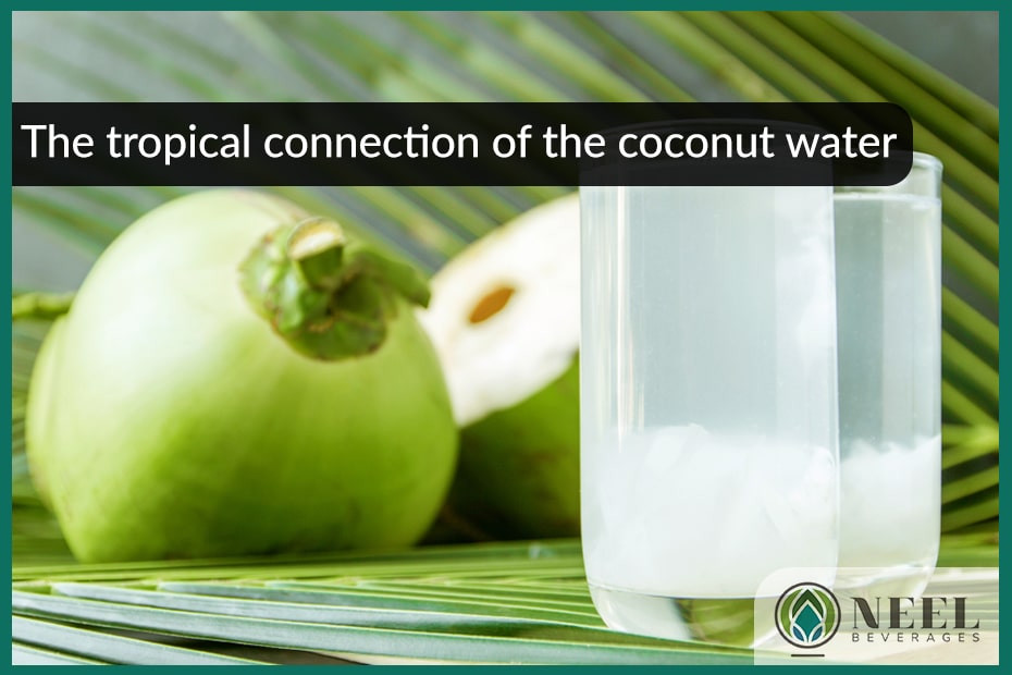 The tropical connection of the coconut water